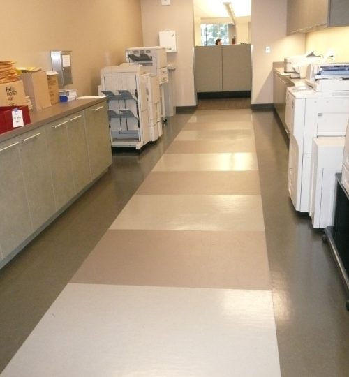 Lonseal Sheet Flooring